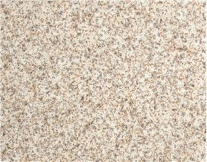 SC76 گولڈن بیچ چینی مٹی کے برتن